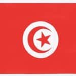 Tunisia National Flag (35.4×59 inch)
