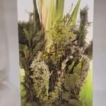 Mashlaf - House Freshener